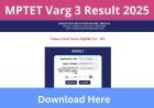 MPTET Varg 3 Result 2025 Out, Link Active for MPESB Primary School TET Result...