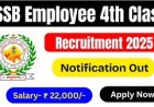 Rajasthan RSSB 4th Class Employee Online Form 2025